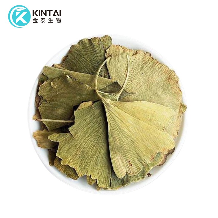 Αποξηραμένα φύλλα Ginkgo Biloba