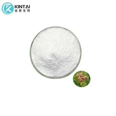 Εκχύλισμα Cnidium Monnieri