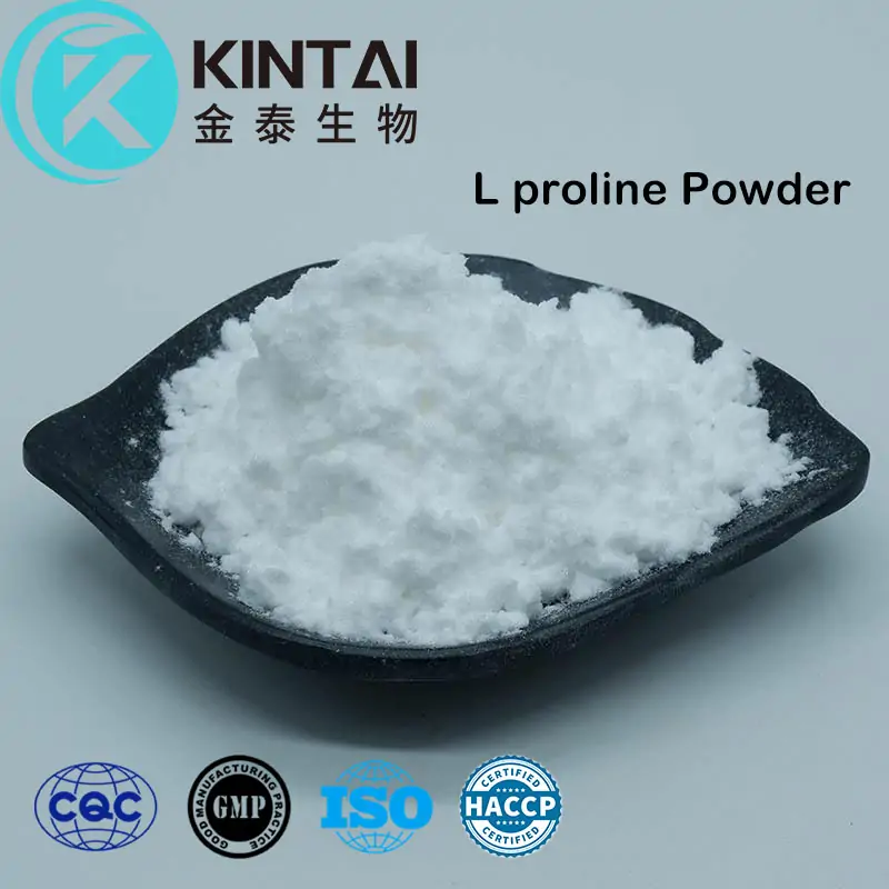 L proline powder L proline powder